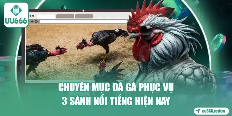 chuyen-muc-da-ga-phuc-vu-3-sanh-noi-tieng-hien-nay