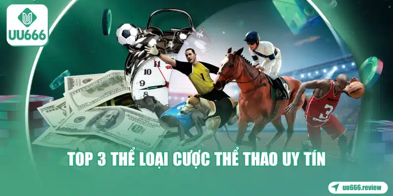 top-3-the-loai-cuoc-the-thao-uy-tin